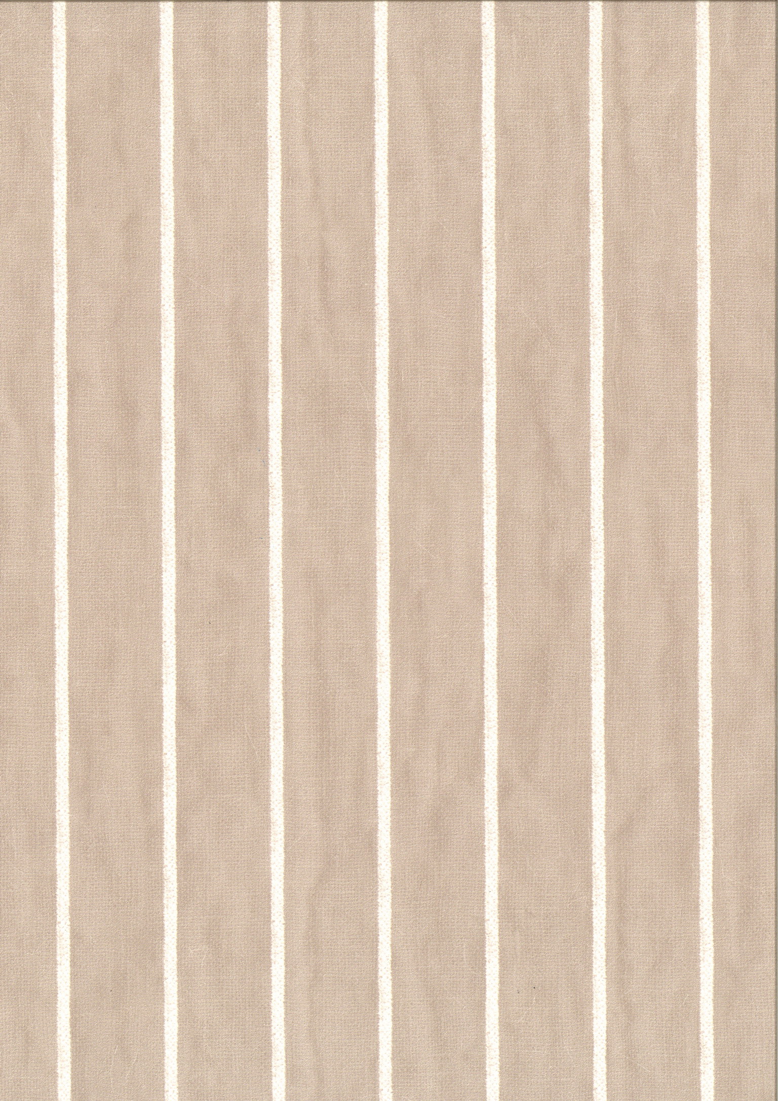 PIENZA GESSATO beige ivory stripes